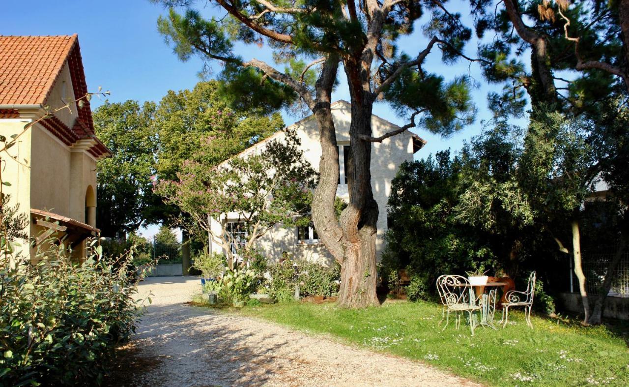 Le Clos Vitis Violes Bagian luar foto